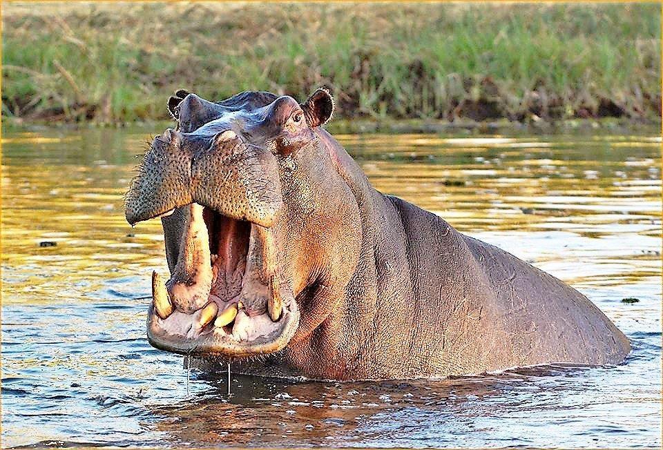 Mabalingwe Uzuri Lodge Bela-Bela Esterno foto